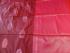 PL Softee Saree